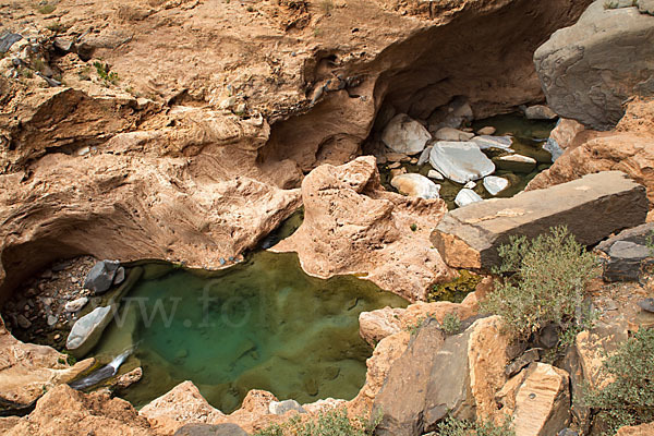 Marokko (Morocco)