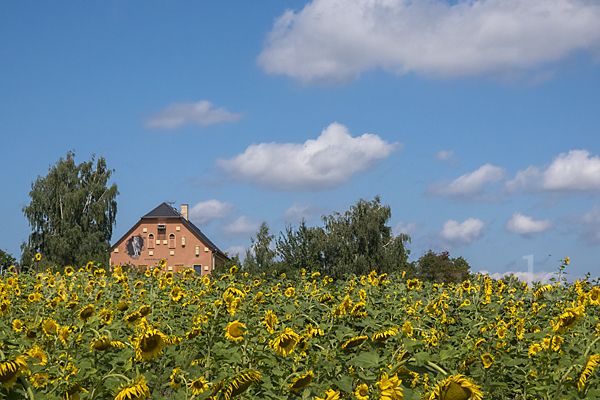 Nistkasten (nest box)