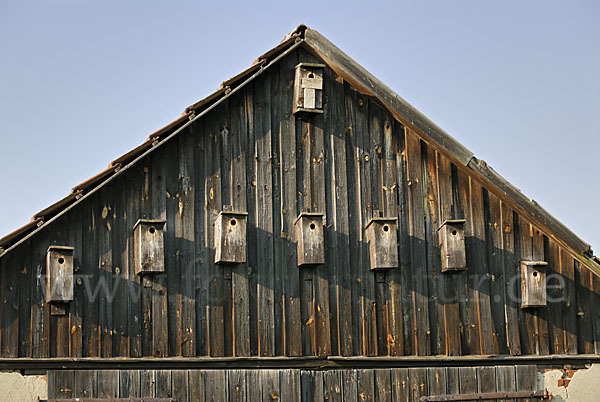 Nistkasten (nest box)