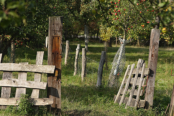 Streuobstwiese (meadow orchard)