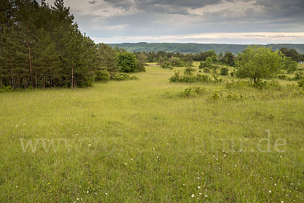 Thüringen (Thuringia)