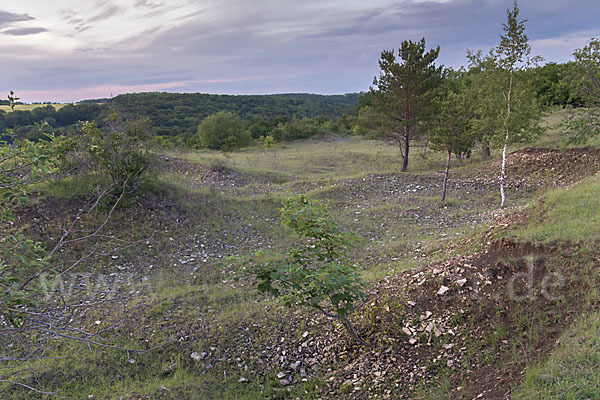 Thüringen (Thuringia)