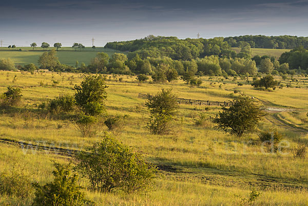 Thüringen (Thuringia)