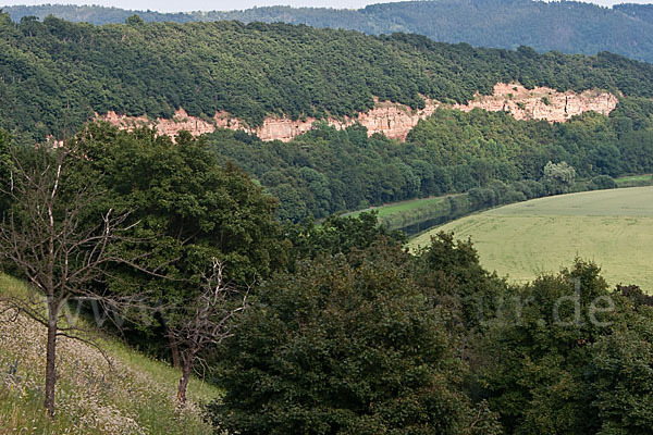 Thüringen (Thuringia)