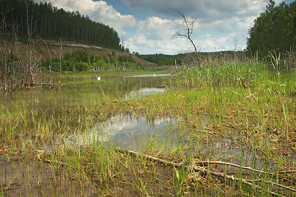 Thüringen (Thuringia)