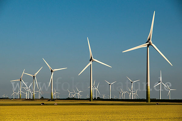 Windkraftanlage (wind turbine)