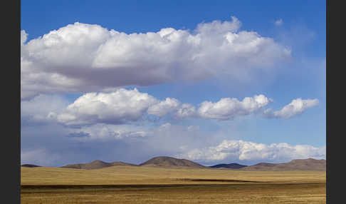 Mongolei (Mongolia)