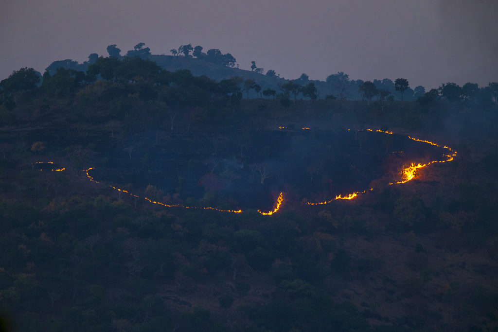 Aethiopien; Alatish Nationalpark; feuer; landscape; landschaft; pröhl; reisen; travels; waldzerstörung; Äthiopien