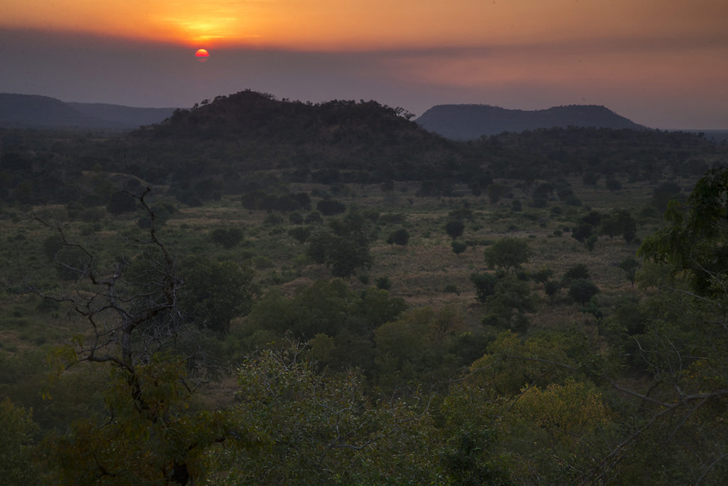 Aethiopien; Alatish Nationalpark; landscape; landschaft; pröhl; reisen; sonnenuntergang; sunset; travels; trockenwald; Äthiopien