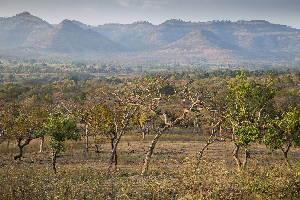 Aethiopien; Alatish Nationalpark; Amhara; landscape; landschaft; pröhl; reisen; travels; trockenwald; Äthiopien