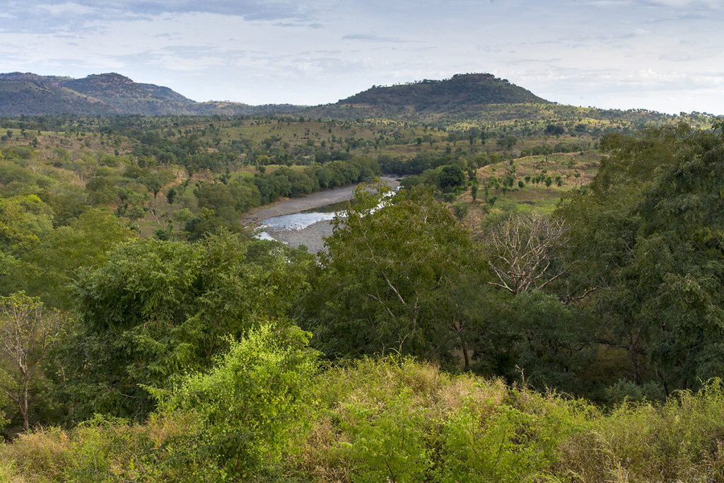 Aethiopien; Benishangul Gumus; Galeriewald; cultivated landscape; extensive Beweidung; flussaue; kulturlandschaft; landscape; landschaft; pröhl; reisen; travels; trockenwald; Äthiopien