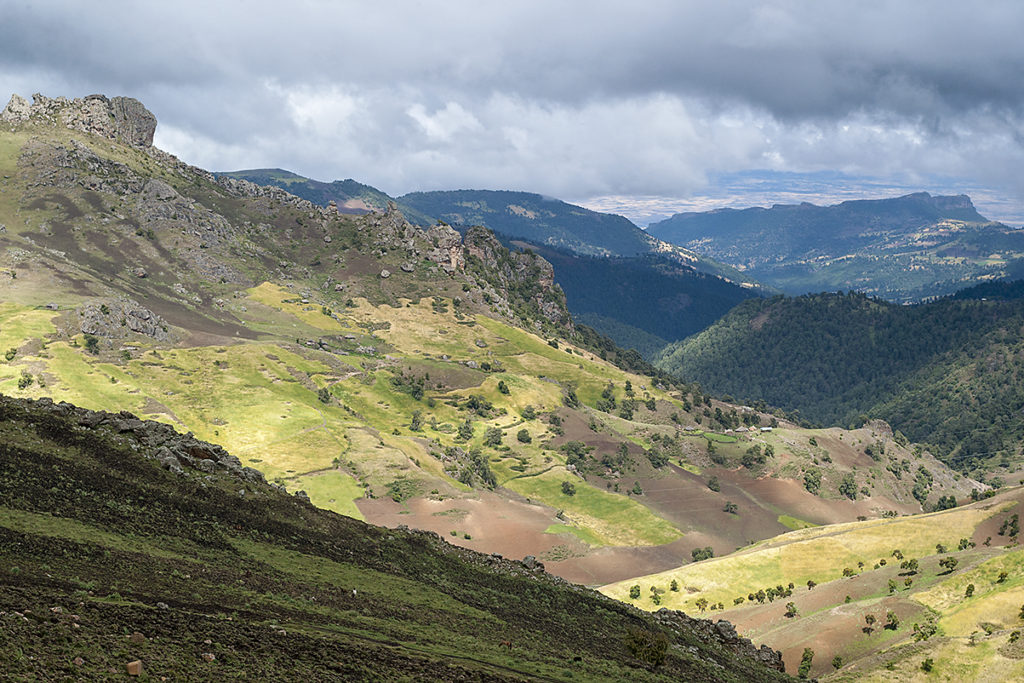 Abessinien; Aethiopien; Bale Mountain; Ethiopia; extensieve Beweidung; high mountains; hochgebirge; landscape; landschaft; national park; nationalpark; pröhl; reisen; travels; Äthiopien