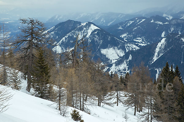 Österreich (Austria)