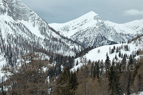 Österreich (Austria)