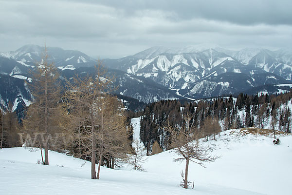 Österreich (Austria)