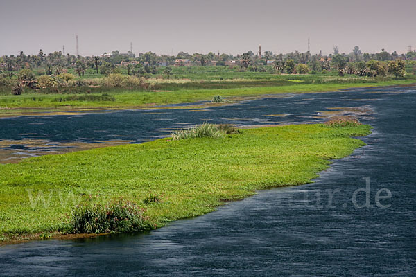 Aegypten (Egypt)