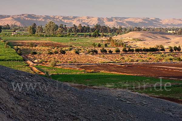 Aegypten (Egypt)