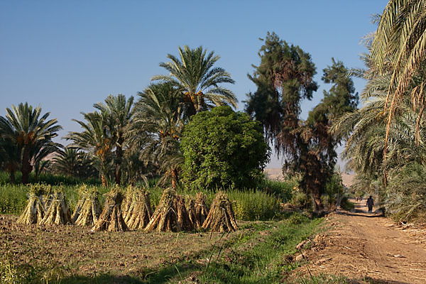 Aegypten (Egypt)