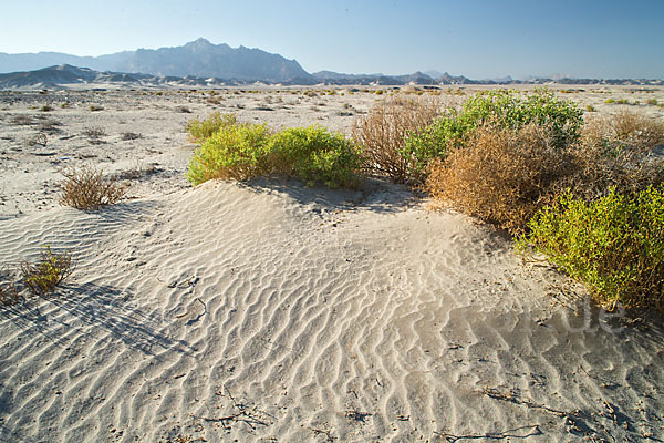 Aegypten (Egypt)