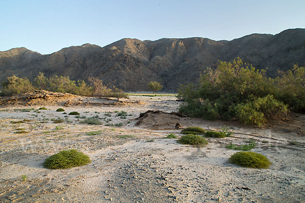 Aegypten (Egypt)