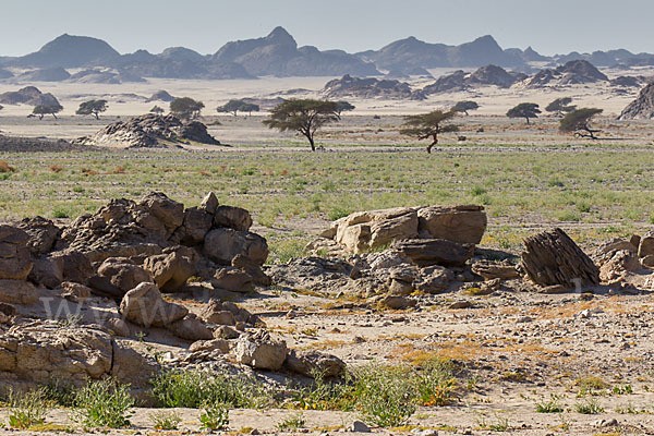 Aegypten (Egypt)