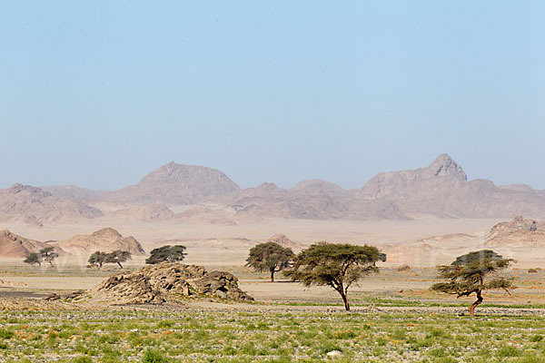 Aegypten (Egypt)