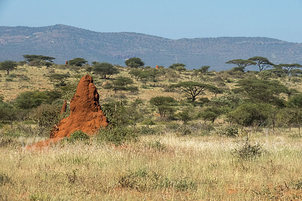 Aethiopien (Ethiopia)