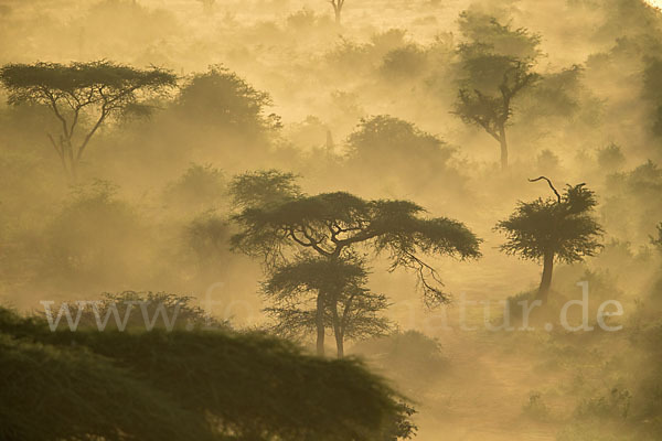 Aethiopien (Ethiopia)