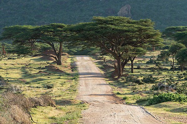 Aethiopien (Ethiopia)