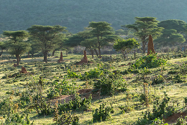 Aethiopien (Ethiopia)