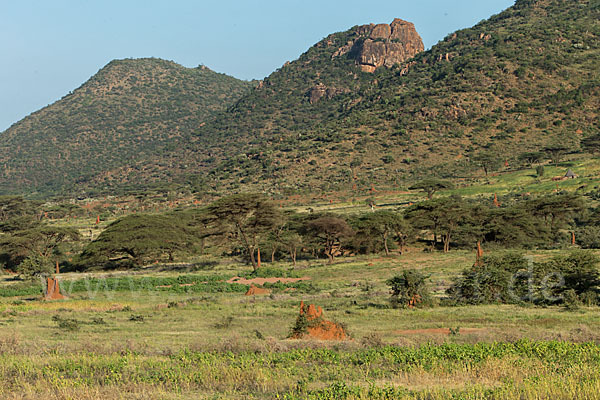 Aethiopien (Ethiopia)