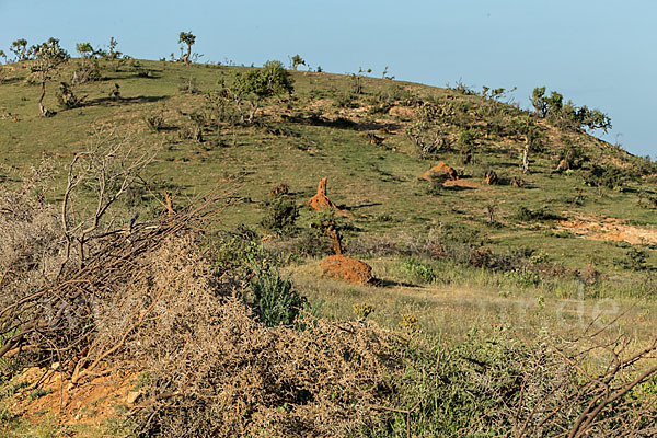 Aethiopien (Ethiopia)