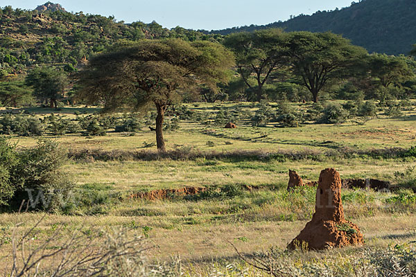 Aethiopien (Ethiopia)