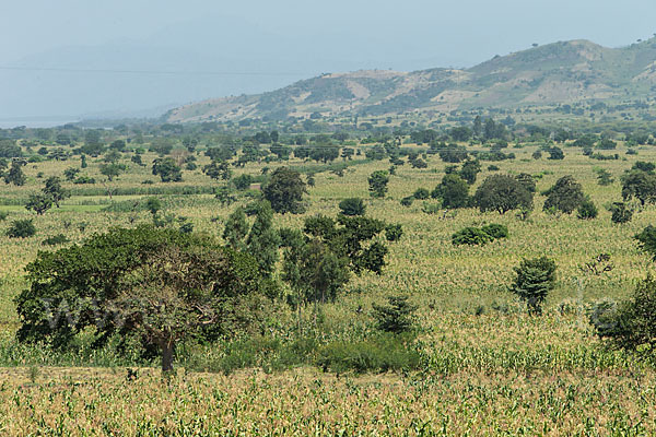 Aethiopien (Ethiopia)