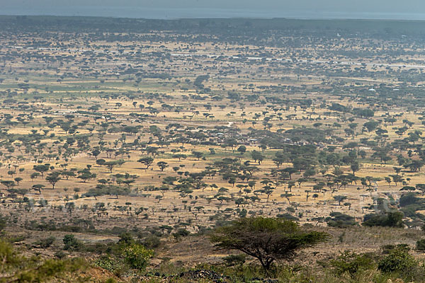 Aethiopien (Ethiopia)