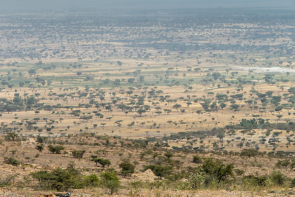 Aethiopien (Ethiopia)