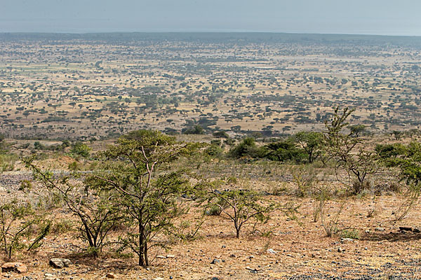 Aethiopien (Ethiopia)