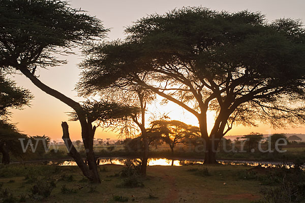 Aethiopien (Ethiopia)