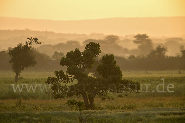 Aethiopien (Ethiopia)