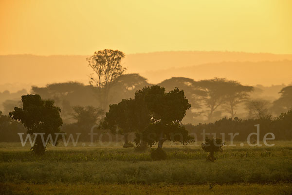 Aethiopien (Ethiopia)