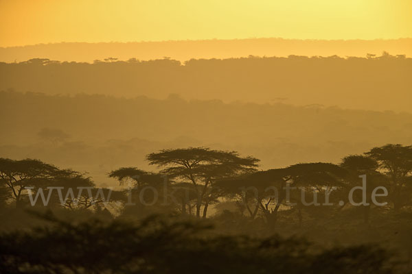 Aethiopien (Ethiopia)