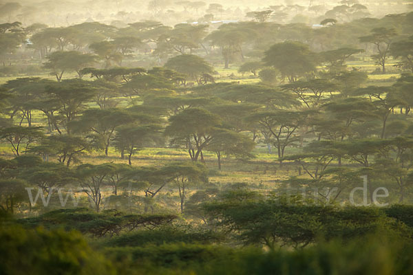 Aethiopien (Ethiopia)