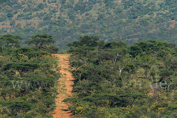 Aethiopien (Ethiopia)