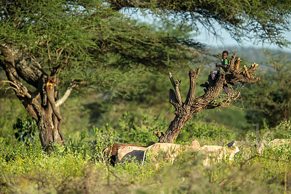 Aethiopien (Ethiopia)