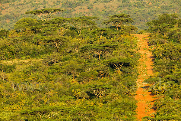 Aethiopien (Ethiopia)