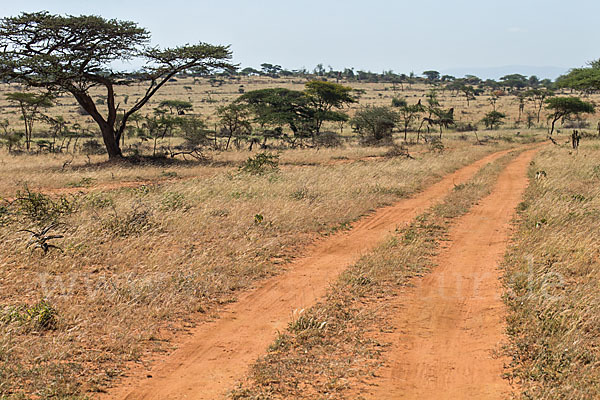 Aethiopien (Ethiopia)