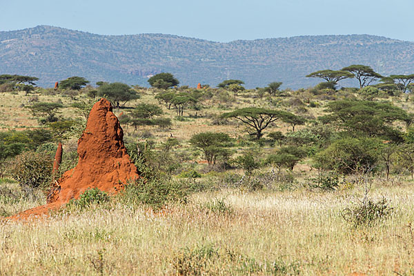 Aethiopien (Ethiopia)