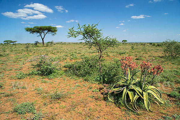 Aethiopien (Ethiopia)