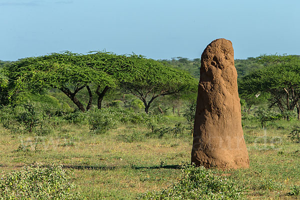 Aethiopien (Ethiopia)