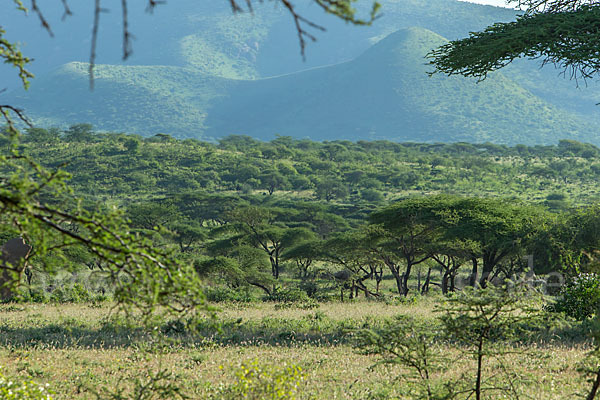 Aethiopien (Ethiopia)